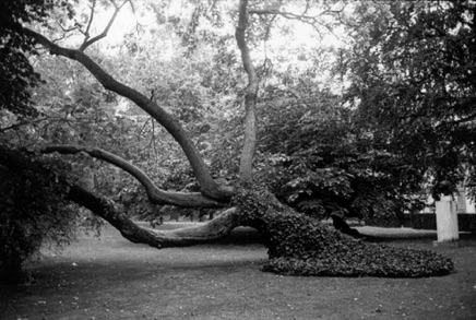 Luxembourg garden, 1997